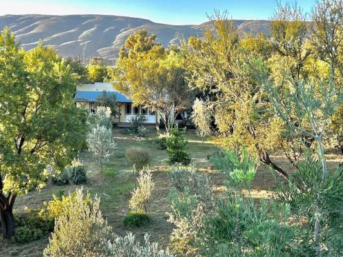 The Happy Place, private cottage with rustic pool in Van Wyksdorp