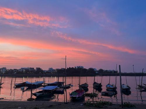 Daisy Homestay Hoian, Hoi An (fotografie 5)