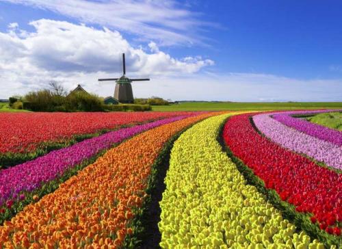 Prins Heerlijk in Sassenheim