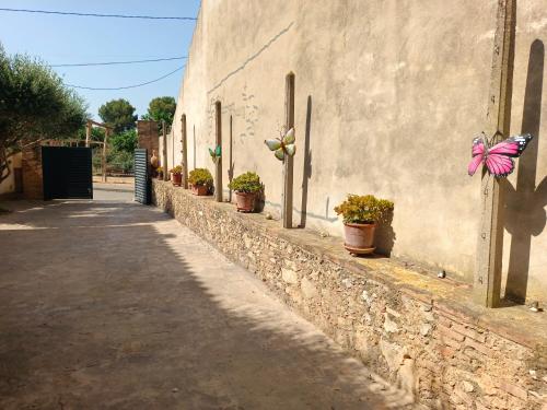 La Pallissa 9 in Bellcaire d'Emporda
