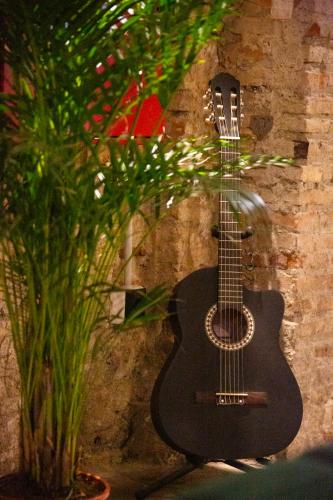 Black Swan Hostel Granada, Granada (photo 8)