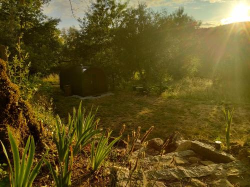 Quinta dos Covões (Quinta dos Covoes) in Fornos De Algodres