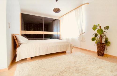 Zentrale Wohlfühloase, Drážďany (fotografie 7)