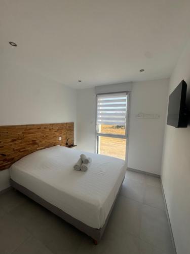 U Murtonu – Porto Vecchio, DC