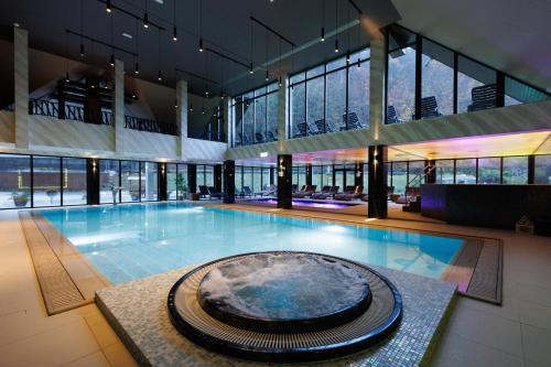 Nedei Hotel&Spa Transalpina in Sasciori