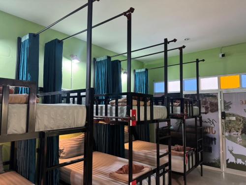 Khao Sok Jungle Hostel - 숙소 외관