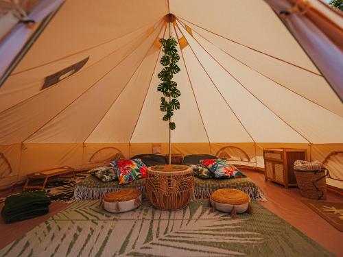 Salinko Glamping in Choczewo