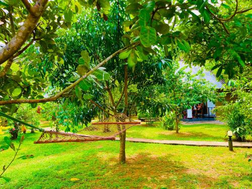 Deluxe Double Room room in Sungreen Cottage Sigiriya