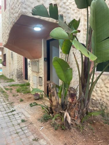 Beautiful apartment in front of the sea in Sidi Bouzid