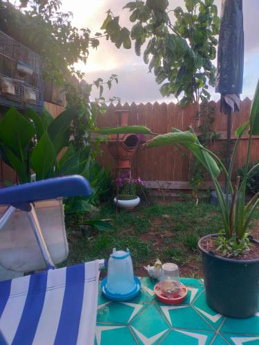 Taman, Birds House in Dar Bouazza