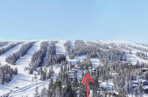 Gula byn Ski in Ski out Lindvallen in Salen