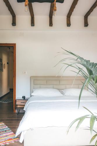 GuestHouse Shtëpia ime