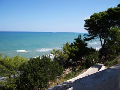 Hotel Villa Nettuno