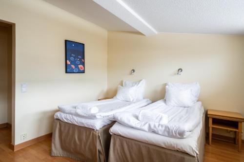 2 twin beds