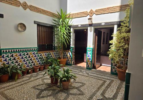 El Balcón del Albaicín, Grenada (zdjęcie 3)