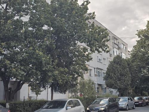 Garsoniera Cris & Apartament Ale, Eforie Nord (fotografie 3)
