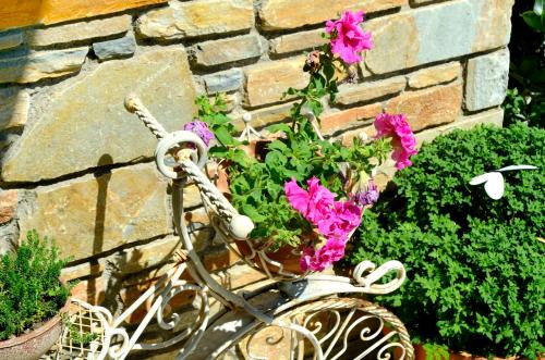 Guesthouse Iris - image 11