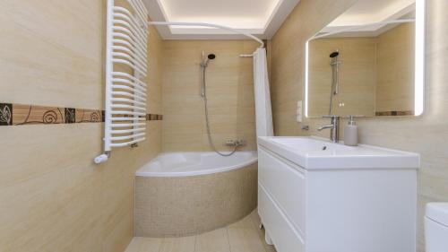 One-Bedroom Apartment image 4