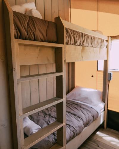 Glamping Safari image 7