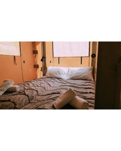 Glamping Safari image 10