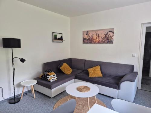 Apartmány Na sjezdovce (Apartmany Na sjezdovce) in 塞德隆諾夫