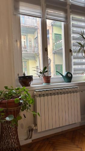 One-Bedroom Apartment image 6