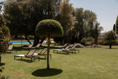 Reserva Rotana Golf Resort - 전망