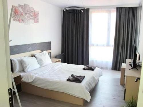 Candy 26 Apartment, Velingrad (foto 8)