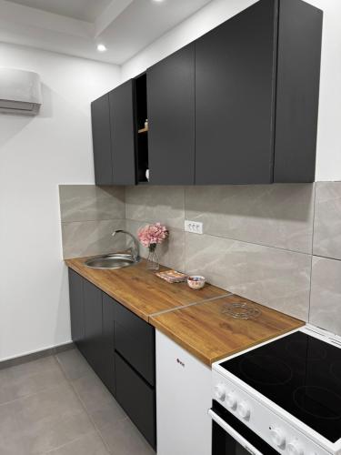 Apartman Mila2 in Bogojevo