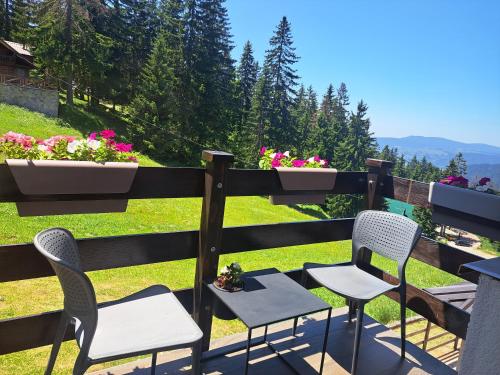 Vlasicka avantura Eko Fis 509 - Apartment - Vlašić