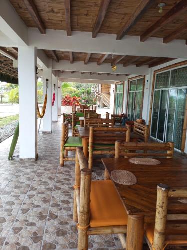 Manglar escondido in Mompiche