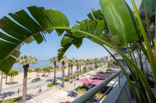 Superior Suite with Sea View image 6
