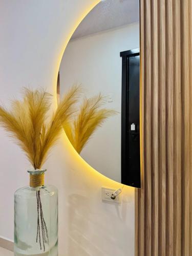 Departamento de lujo y acogedor in Santo Domingo