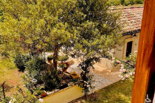 La Fattoria Di Maria Donata – Cugnoli, MO