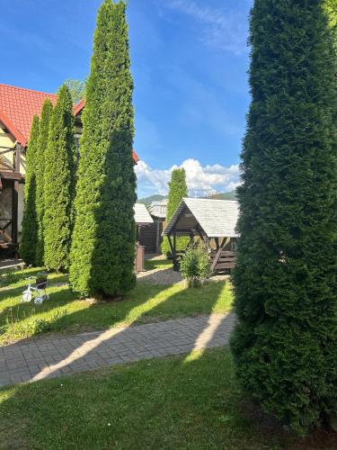 На березі Черемошу, Verkhovyna (foto 10)