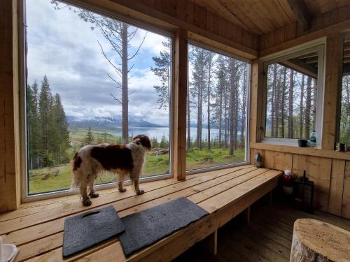 Slettvold Lyngen in สเวนสบี