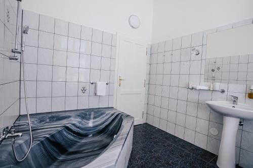 Hotel Šipka - image 10