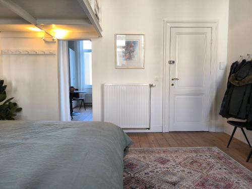 Lovely City Centre Duplex, Antverpy (fotografie 8)
