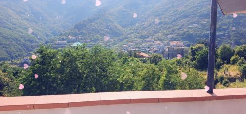 Hotel affittacamere novella 2