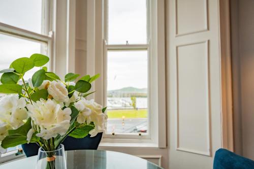 Studio with Scenic Marina Views - Sleeps 3, Dublin (photo 2)