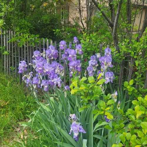 L' Escale, Bonnieux (Foto 4)