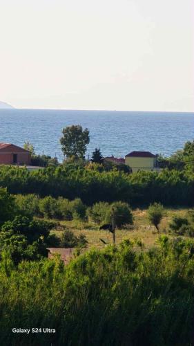 Joan, Valona (foto 4)