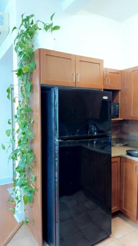 Spacious Condo with a Bright Interior in LaSalle