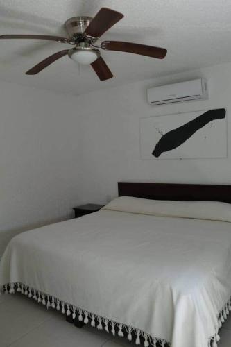Las Gaviotas Hotel and Suites, Cancún (photo 6)