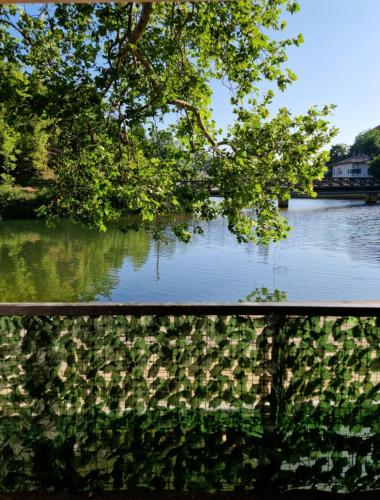 Pansion River - image 14