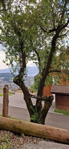 A környék, Completely Open Barn-Nature Höllhof Adventure with panoramic view outdoor -near Lucerne (Completely Open Barn-Nature Hollhof Adventure with panoramic view outdoor -near Lucerne) in Kriens
