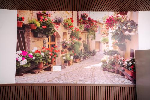 La Bonté Boutique Home Ho Chi Minh - 편의 시설/서비스