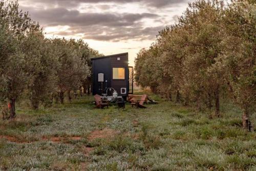 Olive Grove Retreat 1 by Tiny Away in Lake Boga