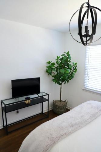 Charming studio city Bungalow, Los Angeles (fotografie 4)