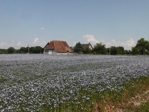 La Huberdière - Location saisonnière - Fondettes